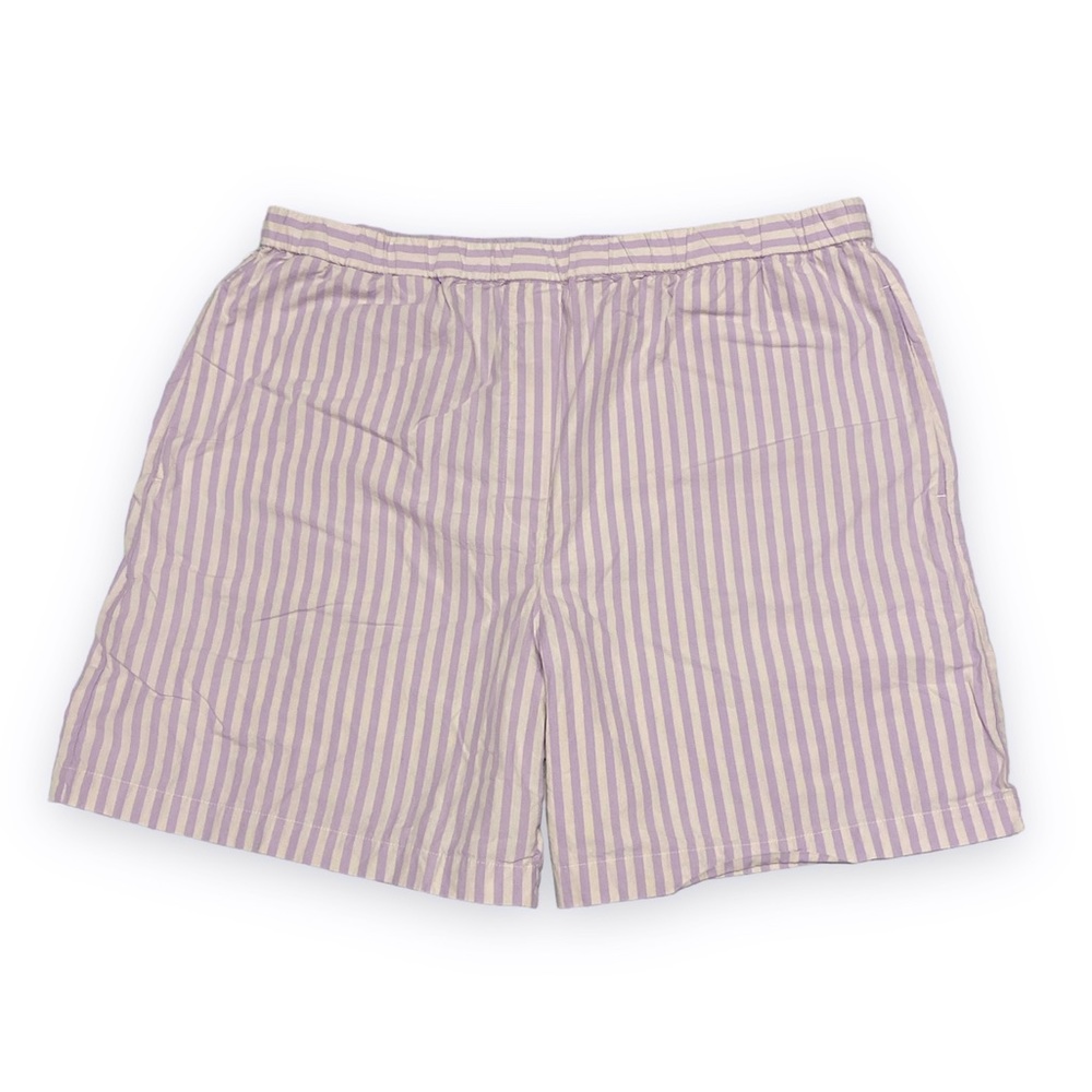 Aritzia Purple and White Striped Women Shorts
